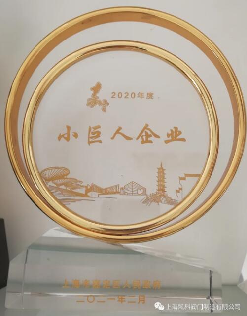 凯科阀门入选2020年度嘉定区小巨人计划奖励企业名单 凯科阀门入选2020年度嘉定区小巨人计划奖励企业名单