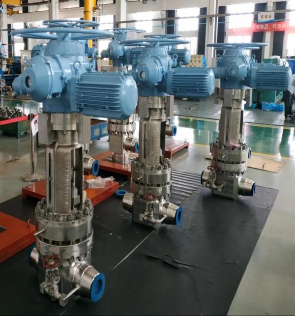 “华龙一号（acp1000）核电站关键阀门研发与产业化”项目荣获江苏省科学技术奖三等奖