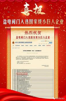 盐电阀门入选国家级小巨人企业 盐电阀门入选国家级小巨人企业