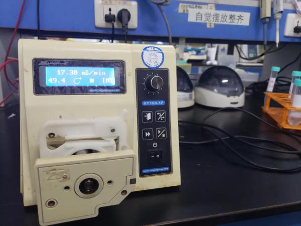 兰格bt100-1f蠕动泵应用于大鼠肝原代细胞提取