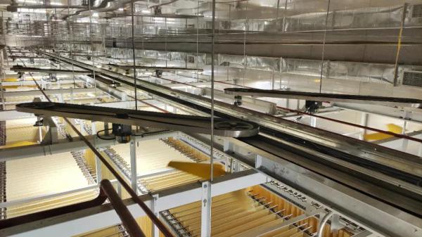 “传统条状米面制品智能化加工关键技术装备研发与集成应用”项目 “传统条状米面制品智能化加工关键技术装备研发与集成应用”项目